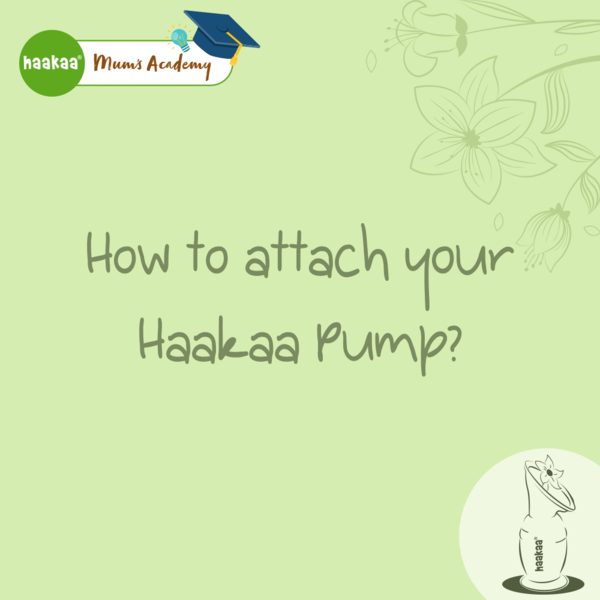 How to attach your Haakaa Pump?